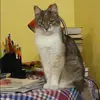 Отзыв от Ксения Дегтярева